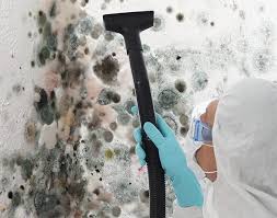 Best Mold Removal for HVAC Installations  in Kenosha, WI